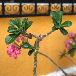 Meet your Posher, Jen